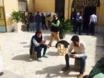 نخستین همایش ملی موج از ۲۶ لغایت ۲۸ فروردین در بندرعباس برگزار خواهد شد.