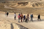 پیاده روی