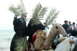 شوشی