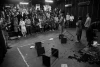 کشند سرخ کشند عشق