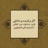 پرستار هرمزگان در یک رویداد بین المللی 2