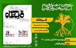 نمایش 