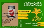 در دومین روز جشنواره نمایش