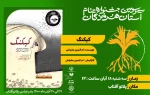 نمایش