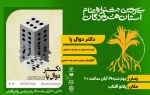 نمایش