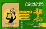 نمایش