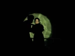 «خرس» در بستک 2